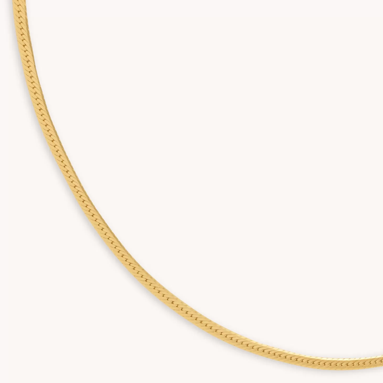 Astrid & Miyu Snake Chain Necklace In Gold 18K Gold Plated Cheap